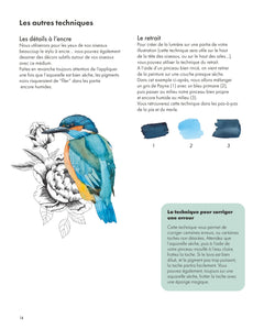 Aquarelle, oiseaux des jardins et forêts