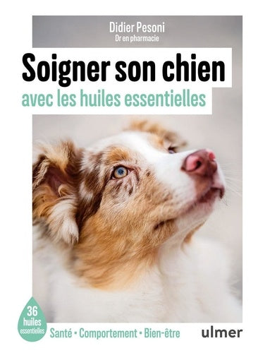 Soigner son chien avec les huiles essentielles