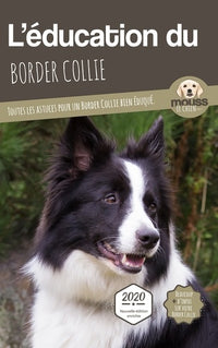 L'éducation du Border Collie