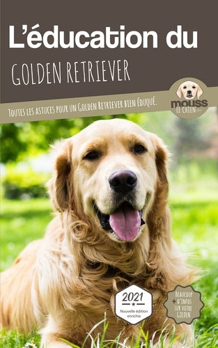 l'éducation du golden retriever