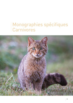 Atlas des mammifères sauvages de France - Vol 3 - Carnivores et primates