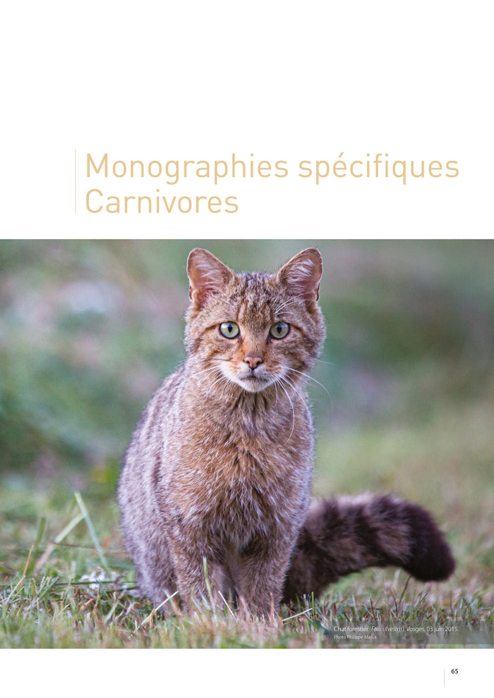 Atlas des mammifères sauvages de France - Vol 3 - Carnivores et primates