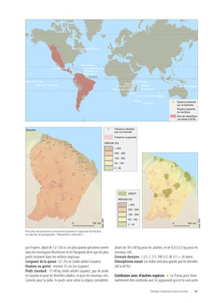 Atlas des mammifères sauvages de France - Vol 3 - Carnivores et primates