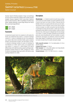 Atlas des mammifères sauvages de France - Vol 3 - Carnivores et primates