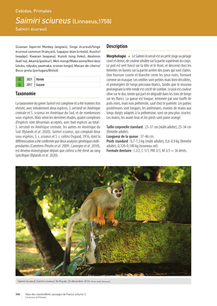 Atlas des mammifères sauvages de France - Vol 3 - Carnivores et primates