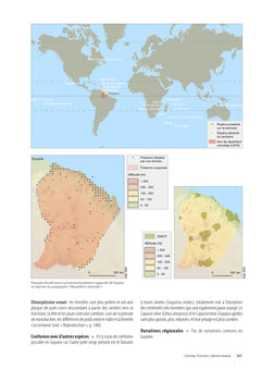 Atlas des mammifères sauvages de France - Vol 3 - Carnivores et primates