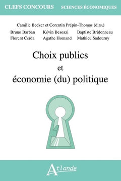 Choix publics et économie politique
