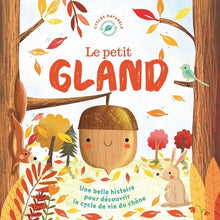 Le petit gland ne
