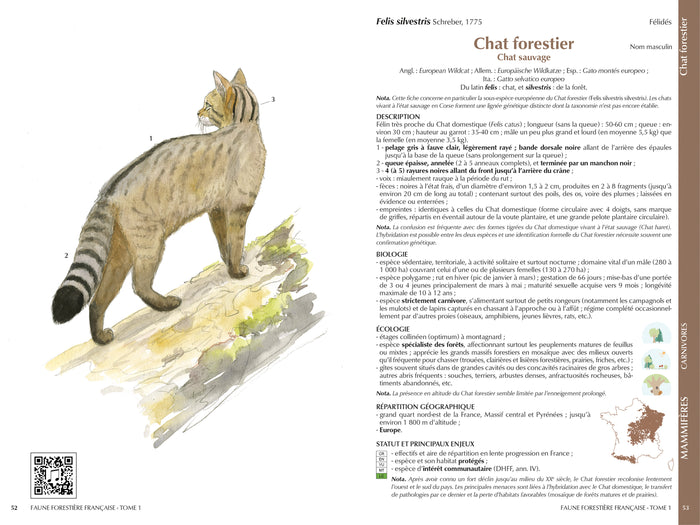Faune forestière française Tome 1 - Vertébrés