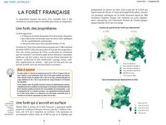 Une forêt, un projet !