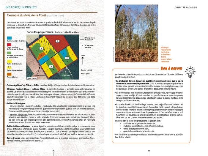 Une forêt, un projet !