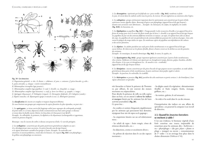 Connaître, comprendre et protéger la forêt
