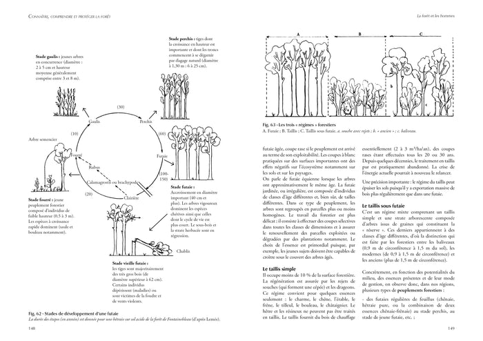Connaître, comprendre et protéger la forêt
