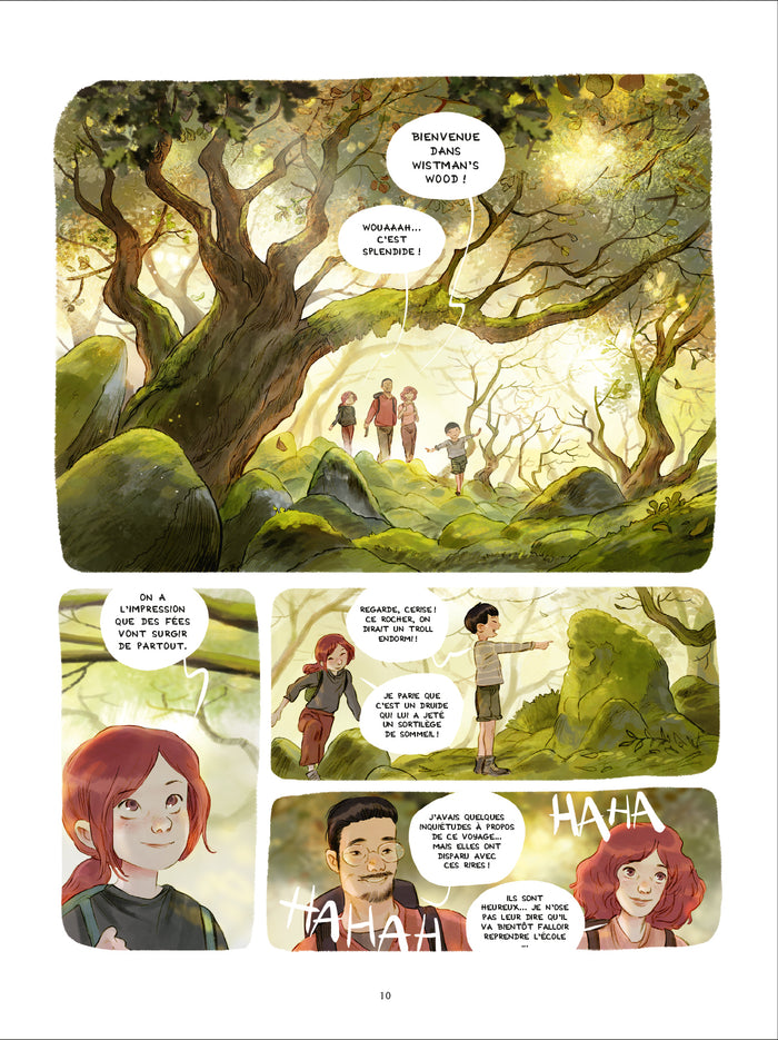 Les carnets de Cerise - Tome 6