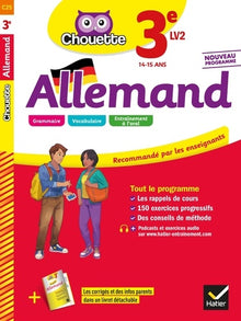 Allemand 3e - LV2 (niveau A2): cahier d'entraînement et de révision