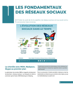 Les réseaux sociaux expliqués en infographies