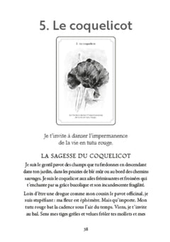 L'oracle des sagesses de la nature