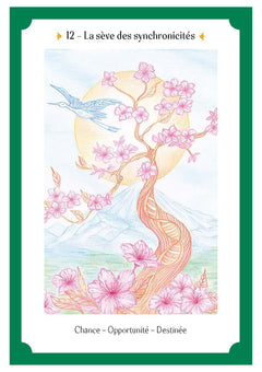 L'oracle de la Pachamama