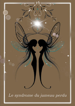 Soul Healing: L'oracle du karma