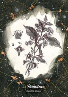 L'oracle de la sorcière guérisseuse