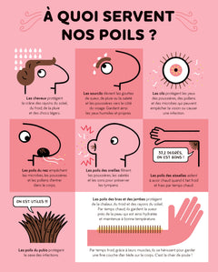 Merveilleux poils