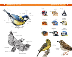 250 oiseaux de France