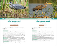 250 oiseaux de France