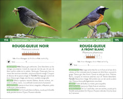 250 oiseaux de France