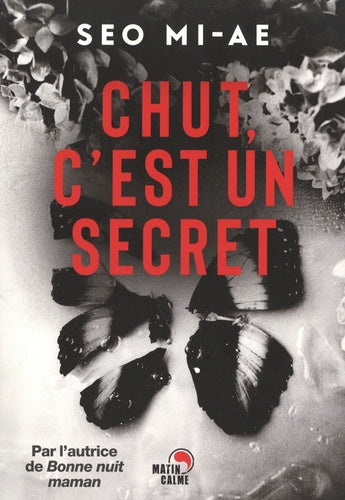 Chut, c'est un secret (2)