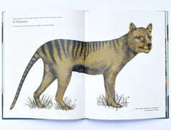 Le cauchemar du Thylacine