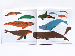 Baleines
