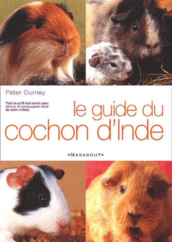 Le Guide Du Cochon D'Inde