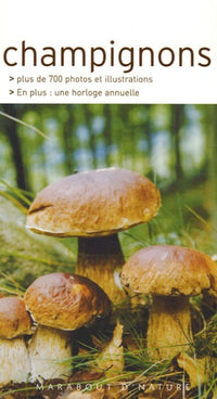 Champignons: Les reconnaître facilement sans se tromper