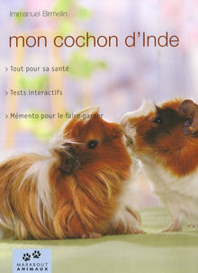Mon cochon d'Inde