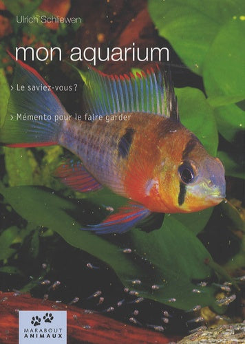 Mon aquarium