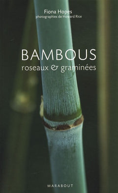Bambous: Roseaux et graminées