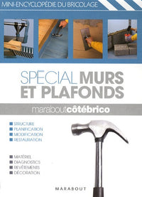 Spécial murs et plafonds
