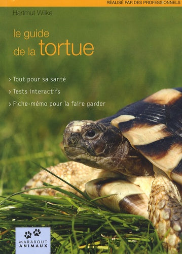 Ma tortue
