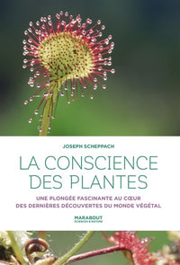 La conscience des plantes: Une plongée fascinante au coeur des dernières découvertes du monde végétal