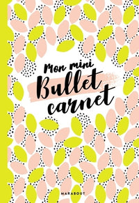 Mon mini-bullet carnet