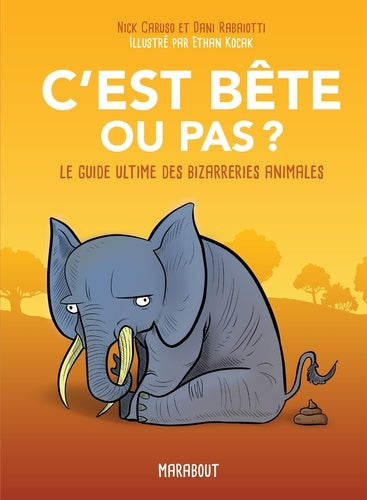 c'est bête ou pas ?