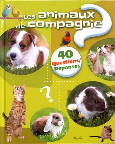 Les animaux de compagnie