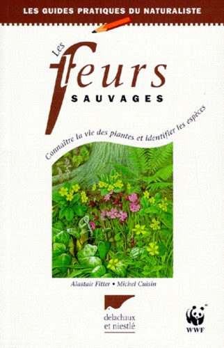 Les fleurs sauvages