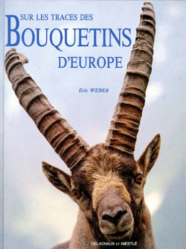 Sur les traces des bouquetins d'europe