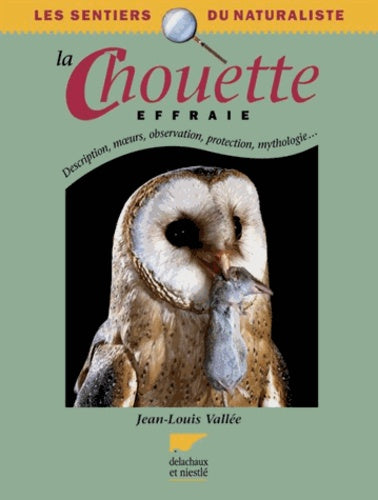 La chouette effraie
