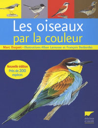Guide d'identification