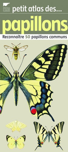 Petit atlas des papillons