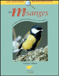 Les mésanges: Description, répartition, habitat, moeurs, observation...