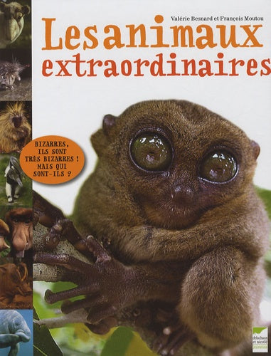 Les animaux extraordinaires