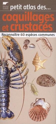 Coquillages et crustacés